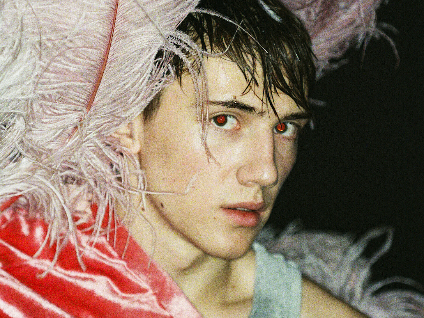 Tänzer Matthys de Beer trägt pinkfarbenen Federkopfschmuck und blickt verhalten in die Kamera.