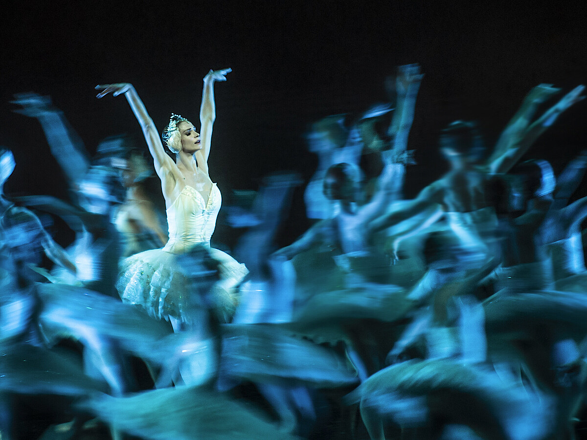 Schwanensee Polina Semionova als Odette, umringt von tanzenden Schwänen.