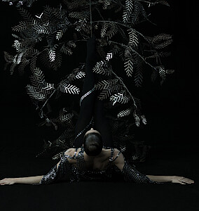 Tänzerin liegt vor auf dem Boden vor schwarzem Hintergrund. Über ihr ragt ein silbern glänzender Baum aus Metall. 