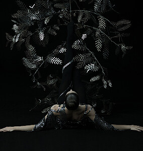 Tänzerin liegt vor auf dem Boden vor schwarzem Hintergrund. Über ihr ragt ein silbern glänzender Baum aus Metall. 