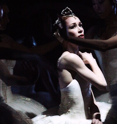 Schwanensee Schwanensee