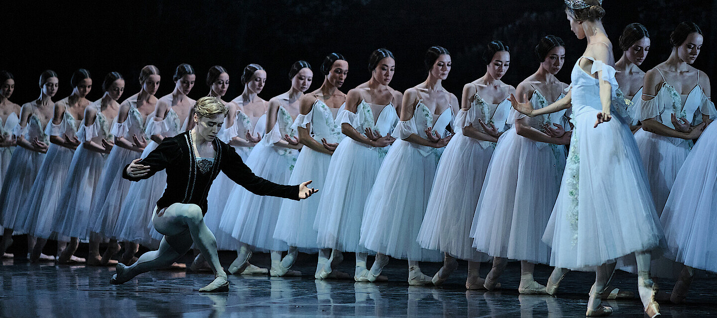 Open Dancer Application — Staatsballett Berlin